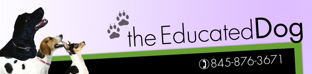 The Educated Dog